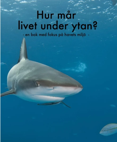 Hur mår livet under ytan? 9789151942001
