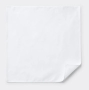 John white handkerchief