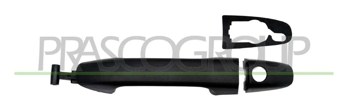 Dörrhandtag PRASCO ME9138002