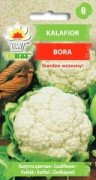 Blomkål Bora blomkål grönsaksfrön resistenta