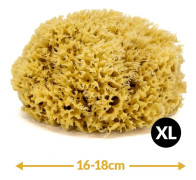 Badsvamp - naturligt hav - storlek XL. 16-18 cm