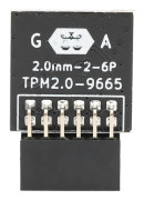 LPC 12PIN TPM 2.0 Krypteringssäkerhetsmodul Hög Säkerhet Praktisk Krypteringssäkerhetsmodul för Dator för GIGABYTE
