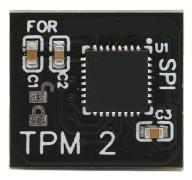 TPM 2.0 Krypteringssäkerhetsmodul 12Pin LPC Gränssnitt Fjärrkort Krypteringssäkerhetsmodul för GIGABYTE 12Pin LPC Tpm2.0