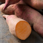 Sötpotatis, Ekologisk