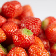 Jordgubbe - Fragaria x ananassa Elsanta (Krukstorlek: 0,5-1L)