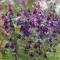 Heutinck