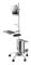 Roline cart - for LCD display / keyboard / mouse / CPU - silver - Max - recommended for