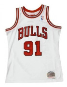 Maillot NBA Dennis Rodman Chicago Bulls 1995-96 Mitchell amp; ness Hardwood Classic Swingman White