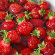 Jordgubbe/Ampeljordgubbe - Fragaria x ananassa Ostara (Storlek: 6-pack)