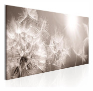 Tavla - Summer Dandelions