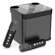 Familje KTV Ljudset Dubbel Trådlös Mikrofon Integrerad Maskin Utomhus Portabel Karaoke Bluetooth.pa
