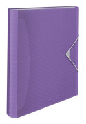 Esselte Colour'Breeze - Expanderar fil - 6 utrymmen - 5 delar - för A4 (210 x 297 mm) - genomskinlig lavendel