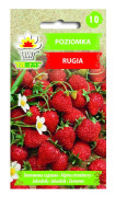 Smultron Rugia