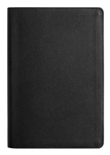 ESV Everyday Gospel Bible