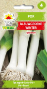 Purjolök Blauwgroene