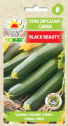 Zucchini Black Beauty