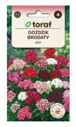 Borstnejlika Mix
