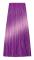 CHANTAL COLOR ART Hårtoner LILA - 100ml