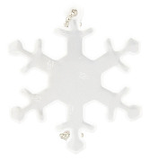 Glimmis reflex Snöstjärna