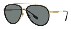 OLIVER (BE3125 - 101781)