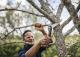 Fiskars Plus Folding Saw SW68
