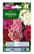 VILMORIN Nejlika av Poete dubbel Pationata varierad