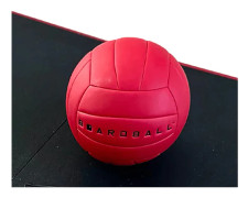 Boardball Boll
