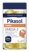 Pikasol Hjärna