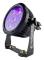 Evolights