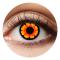 Lins Crazy Volturi 112
