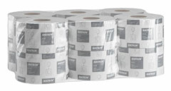 Toalettpapper Plus Gigant S 160m 12/FP