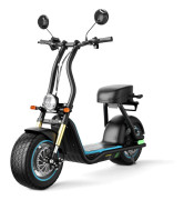 HONEYWHALE M5 MAX(EEC) Elcykel För Vuxna 1000W Motor City Ebike 54.6V13Ah Batteri Elcykel 14 Tums Däck Elcykel