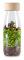 Spion Sensory Bottle, Jungle