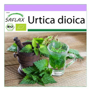 SAFLAX - Ekologisk - Nässla - 2000 frön - Urtica dioica