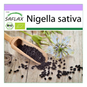 SAFLAX - Ekologisk - Svart spiskummin - 300 frön - Nigella sativa