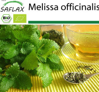SAFLAX - Ekologiskt - Citronmeliss - 1000 frön - Melissa officinalis