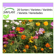 SAFLAX - Cutflower Mix - 1000 frön - 20 Wildflower Mix