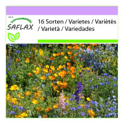 SAFLAX - Mountain Meadow - 1000 frön - 16 Wildflower Mix