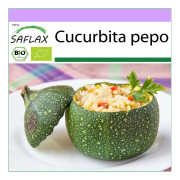 SAFLAX - Ekologisk - Zucchini - Tondo di Nizza - 5 frön - Cucurbita pepo