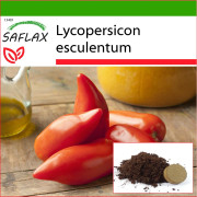 SAFLAX - Tomat - Cornue des Andes - 10 frön - Med kruksubstrat för bättre odling - Lycopersicon esculentum