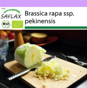 SAFLAX - Ekologisk - Kinakål - Granat - 40 frön - Brassica rapa