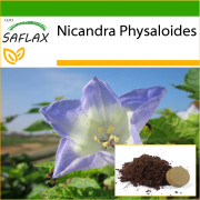 SAFLAX - Apple of Peru - 100 frön - Med kruksubstrat för bättre odling - Nicandra physaloides