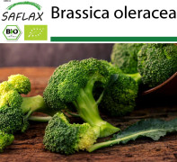 SAFLAX - Ekologisk - Broccoli - Calabrese - 100 frön - Brassica oleracea