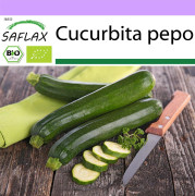 SAFLAX - Ekologisk - Zucchini - Nero di Milano - 6 frön - Cucurbita pepo