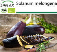 SAFLAX - Ekologisk - Aubergine - Lång lila - 20 frön - Solanum melongena
