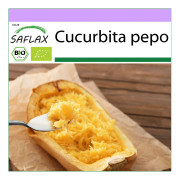 SAFLAX - Ekologisk - Squash - Spaghetti - 5 frön - Cucurbita pepo