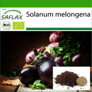 SAFLAX - Ekologisk - Aubergine - Black Beauty - 25 frön - Med kruksubstrat för bättre odling - Solanum melongena