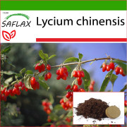 SAFLAX - Gojibär - 200 frön - Med kruksubstrat för bättre odling - Lycium chinensis