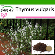 SAFLAX - Vanlig timjan - 200 frön - Med kruksubstrat för bättre odling - Thymus vulgaris