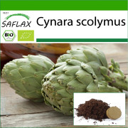 SAFLAX - Ekologisk - Kronärtskocka - Imperial Star - 5 frön - Med kruksubstrat för bättre odling - Cynara scolymus